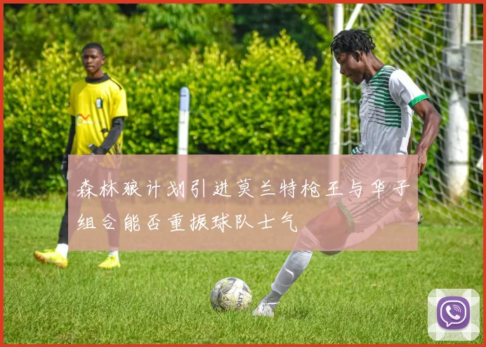 森林狼计划引进莫兰特枪王与华子组合能否重振球队士气